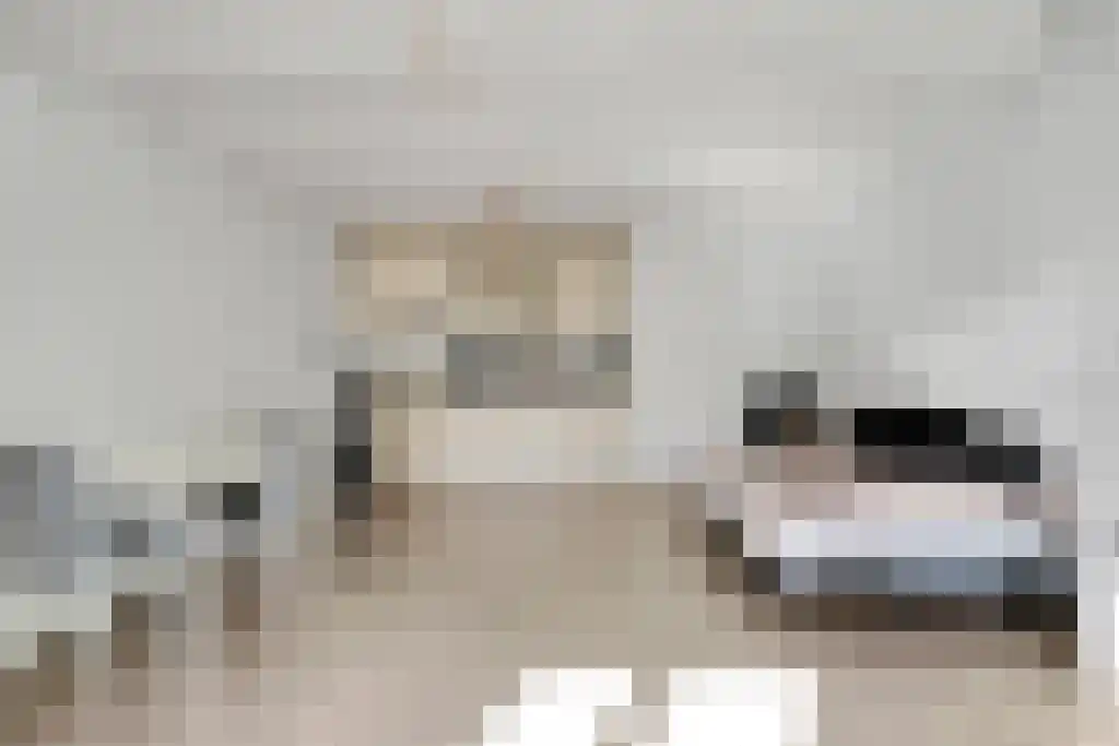Neude 30 F Utrecht thumbnail 8