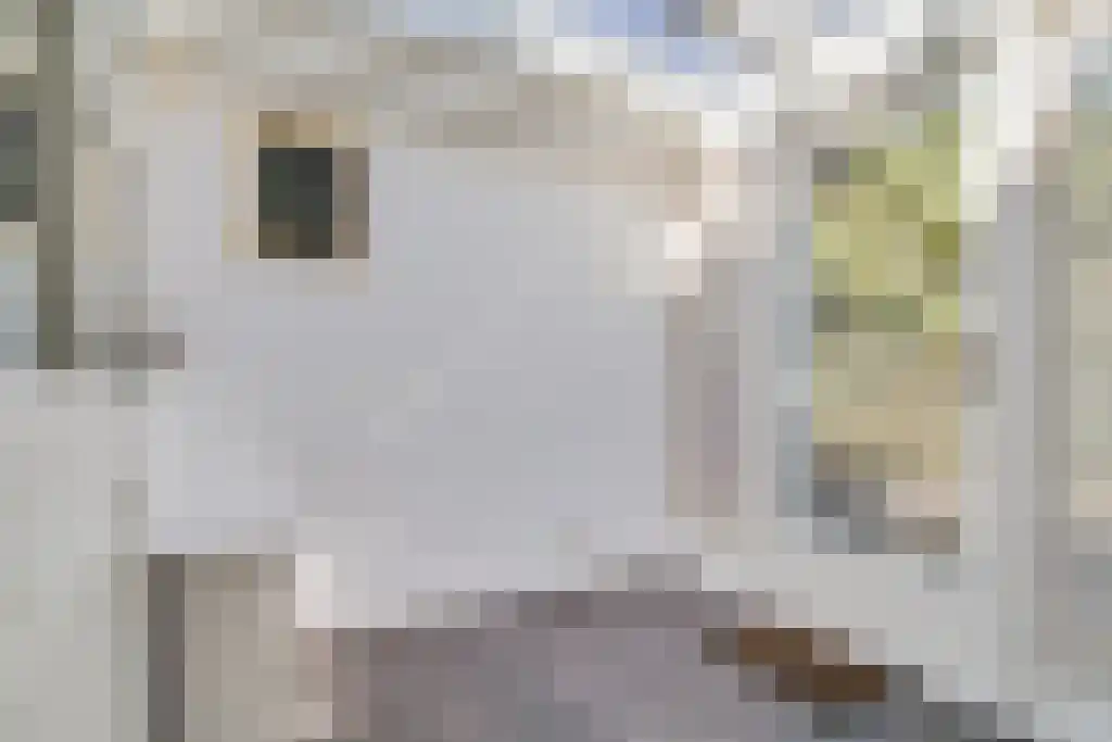 Neuhuijsweg 3 Laren thumbnail 4