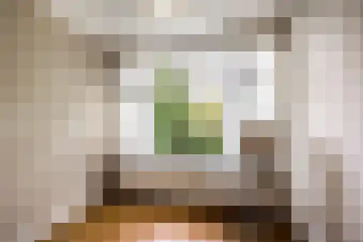 Neuhuyskade 118 Den Haag thumbnail 19