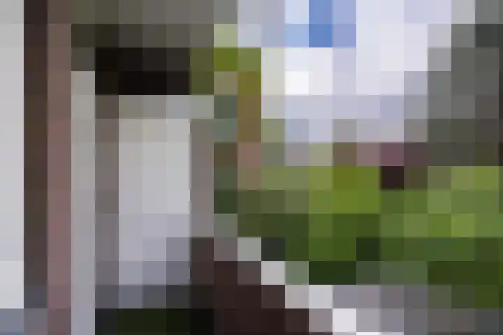Neuhuyskade 118 Den Haag thumbnail 32