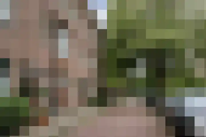 Neuhuyskade 118 Den Haag thumbnail 41