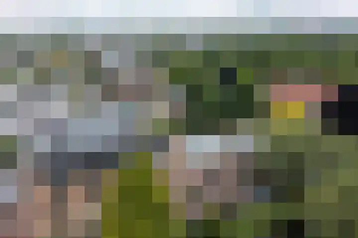 Neuhuyskade 118 Den Haag thumbnail 42