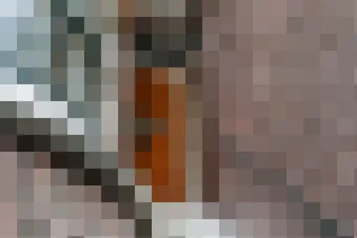 Neuhuyskade 118 Den Haag thumbnail 7