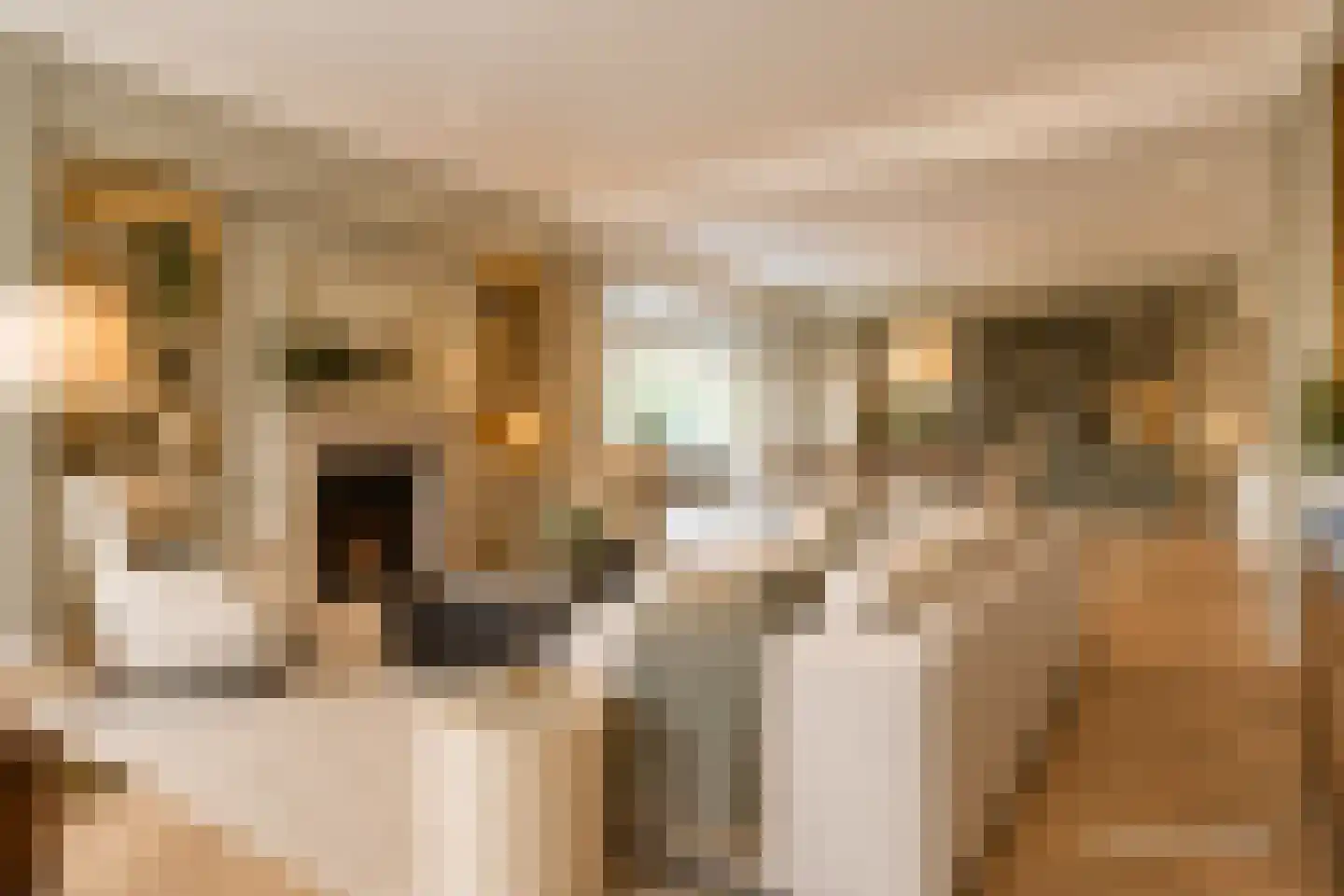 Neuhuyskade 30 Den Haag thumbnail 14