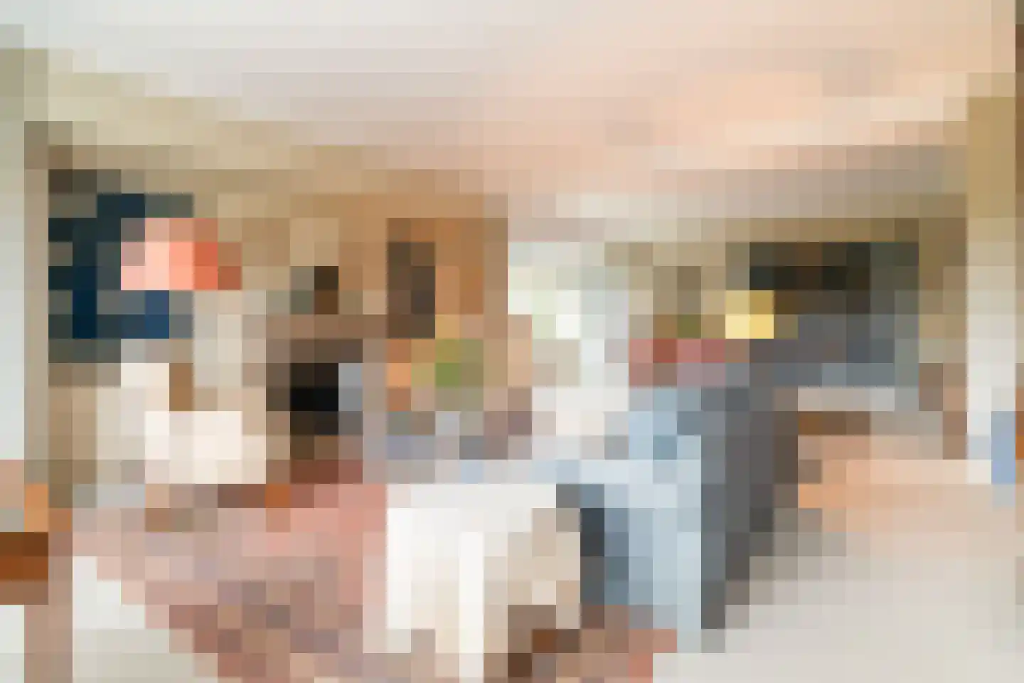 Neuhuyskade 30 Den Haag thumbnail 14