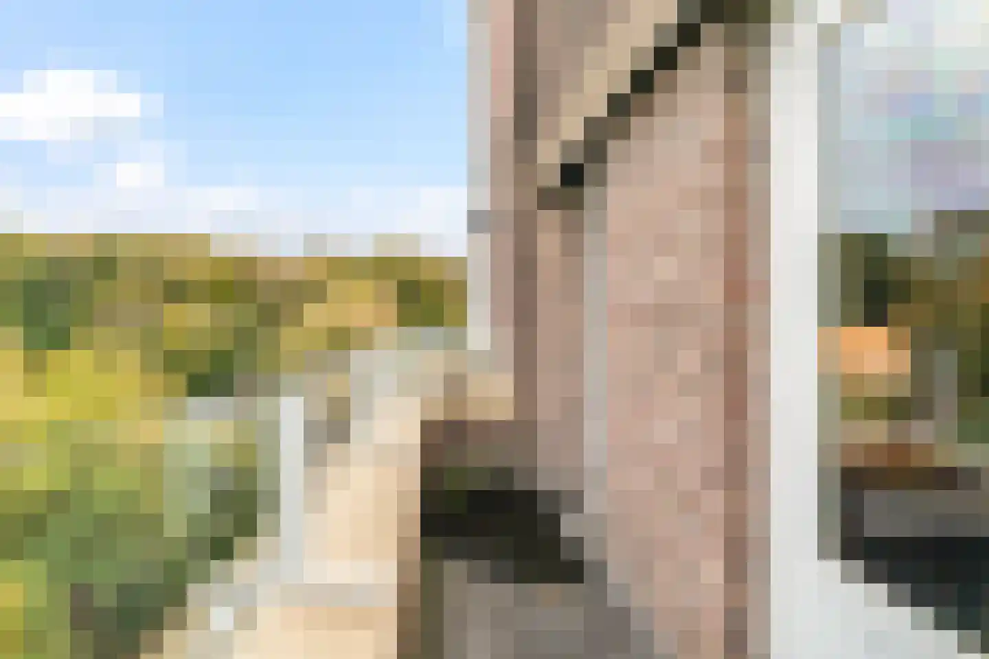 Neuhuyskade 30 Den Haag thumbnail 24