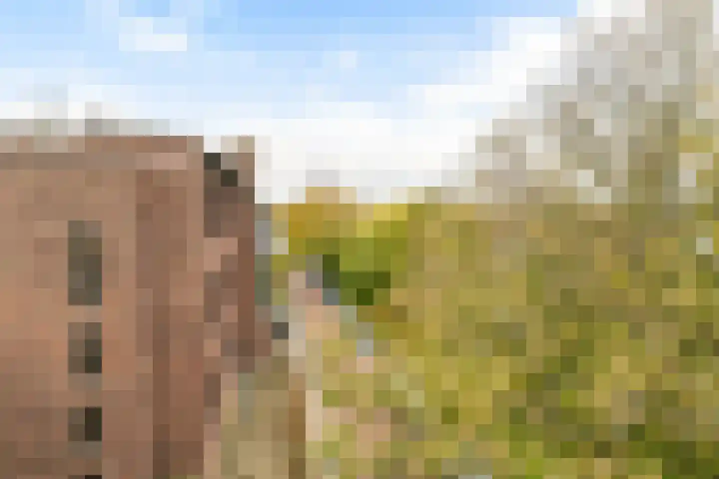 Neuhuyskade 30 Den Haag thumbnail 40