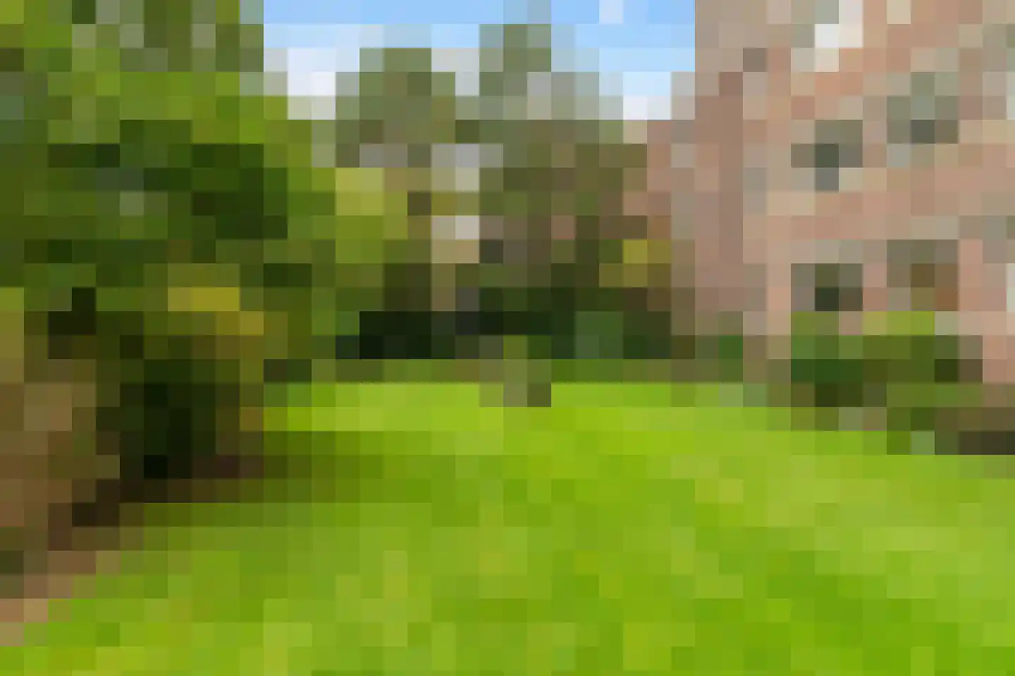 Neuhuyskade 30 Den Haag thumbnail 41