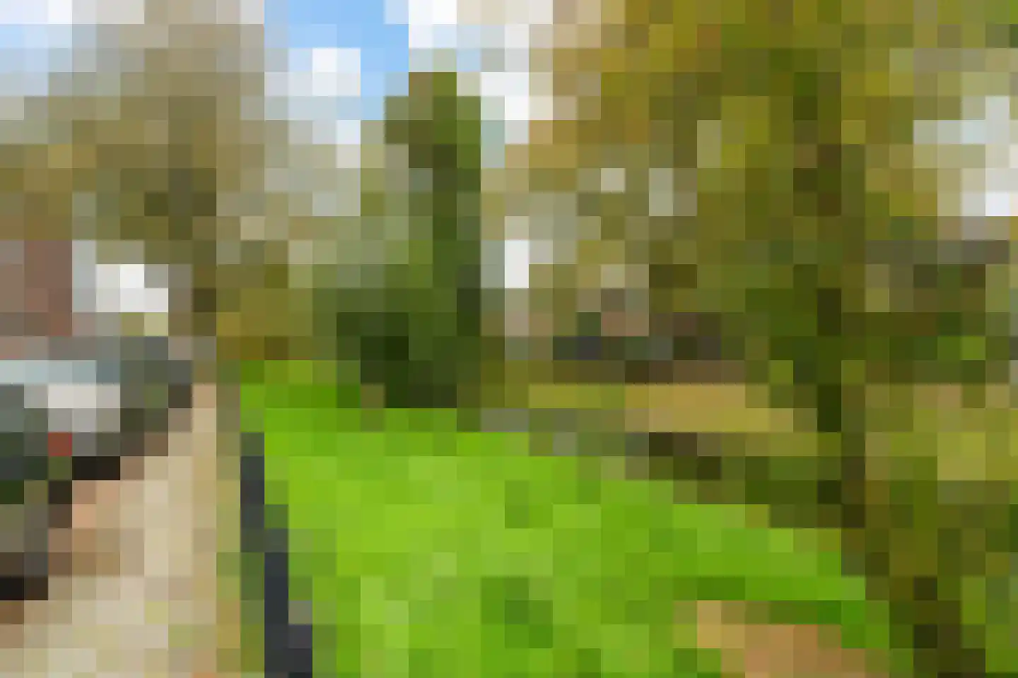 Neuhuyskade 30 Den Haag thumbnail 43