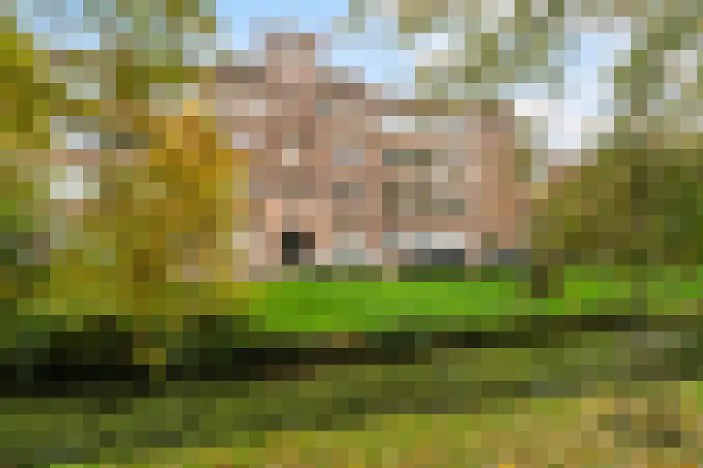 Neuhuyskade 30 Den Haag thumbnail 5