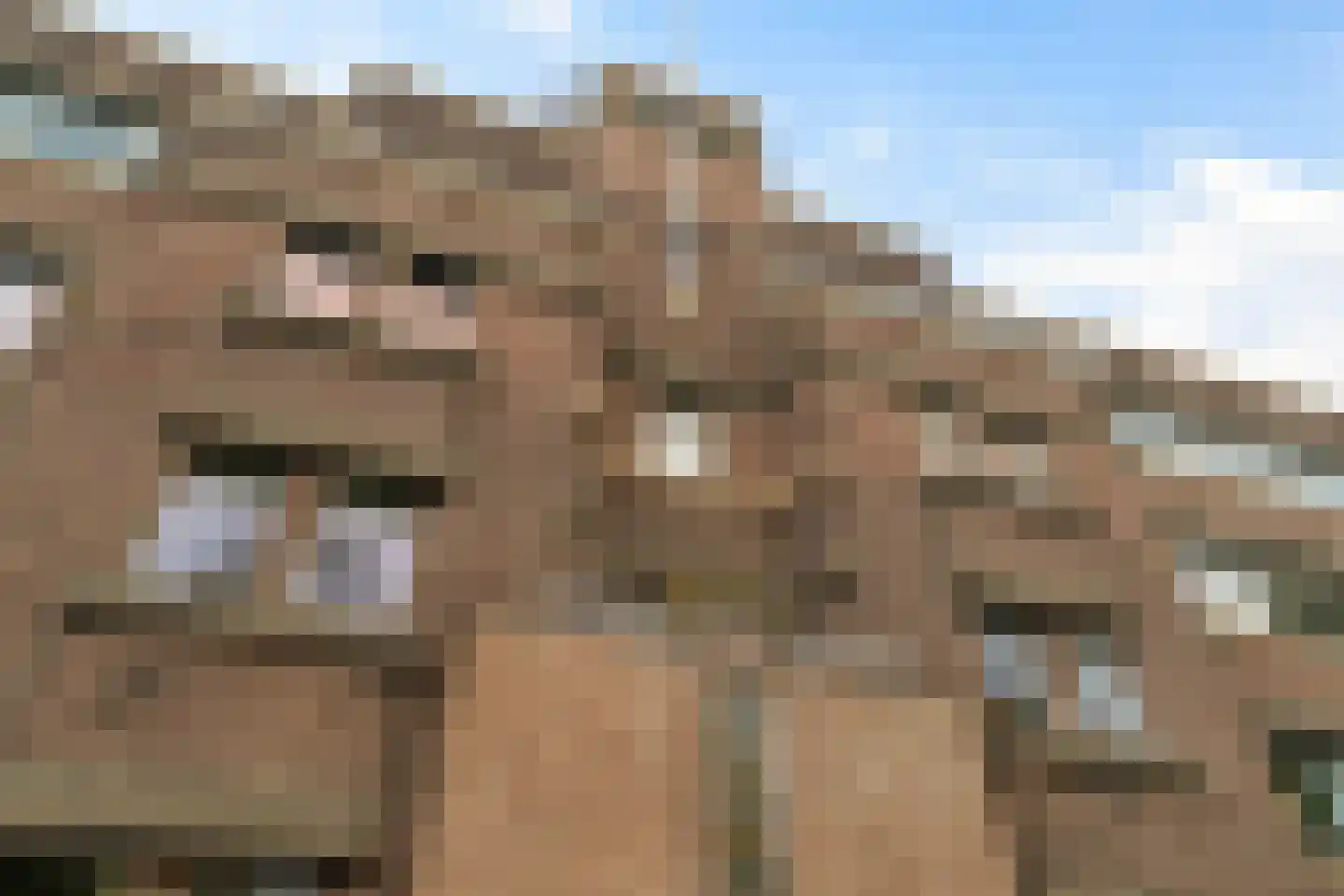 Neuhuyskade 30 Den Haag thumbnail 6