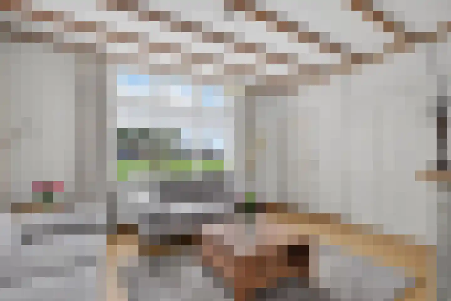Neulemansweg 26 Broekland thumbnail 11