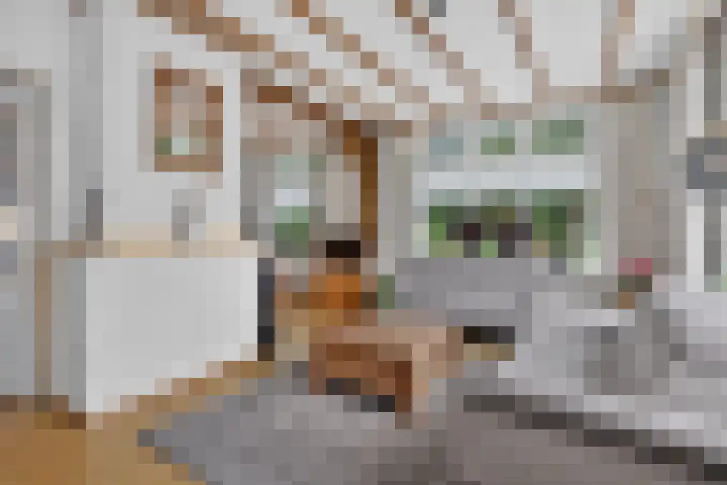 Neulemansweg 26 Broekland thumbnail 12