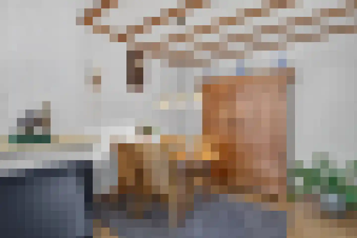 Neulemansweg 26 Broekland thumbnail 14