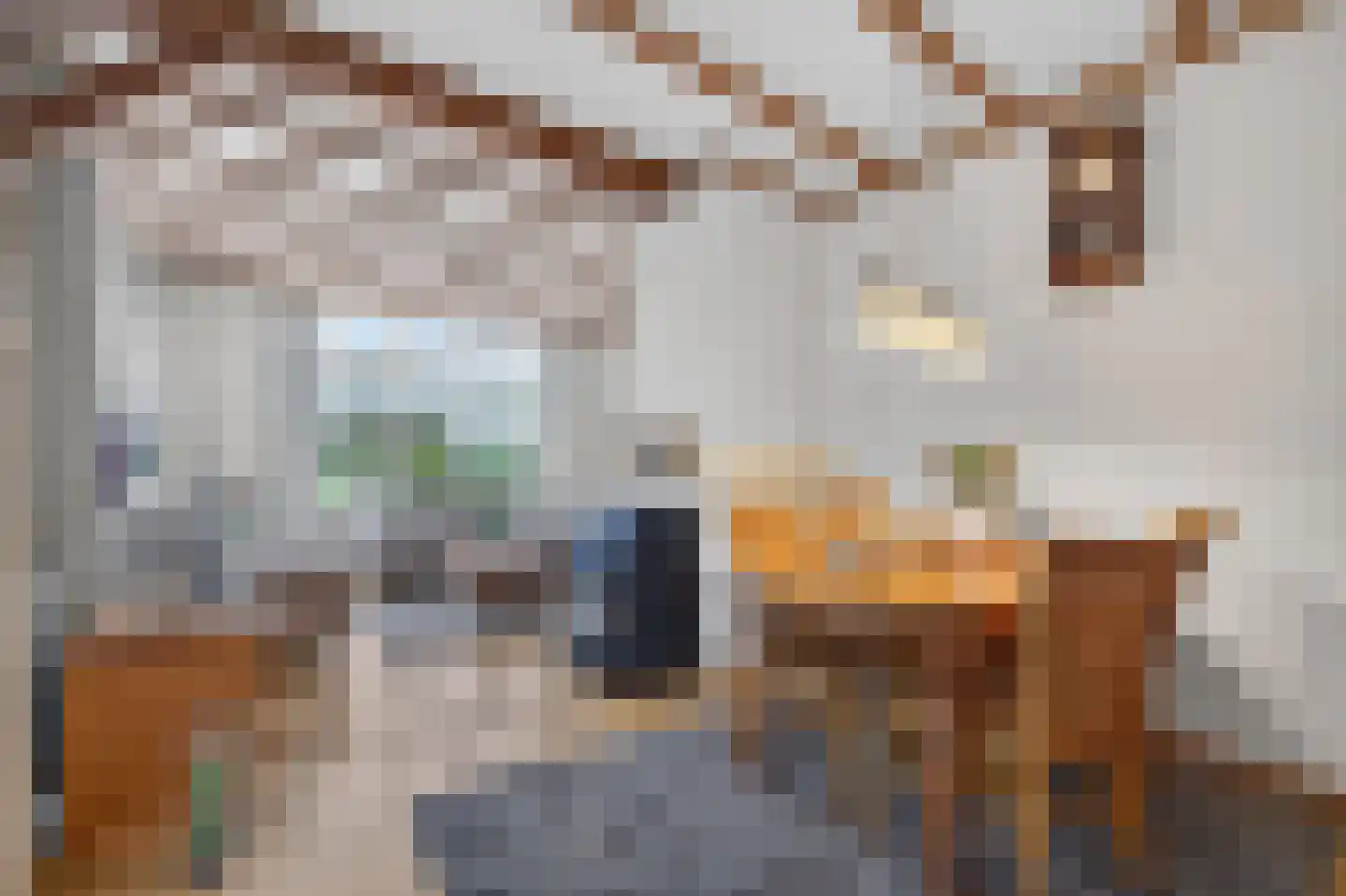Neulemansweg 26 Broekland thumbnail 15
