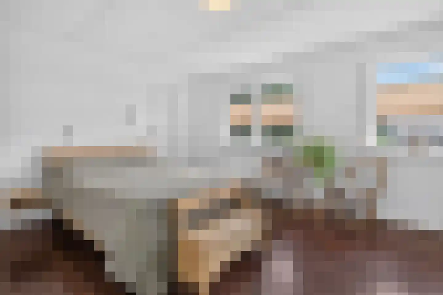 Neulemansweg 26 Broekland thumbnail 20