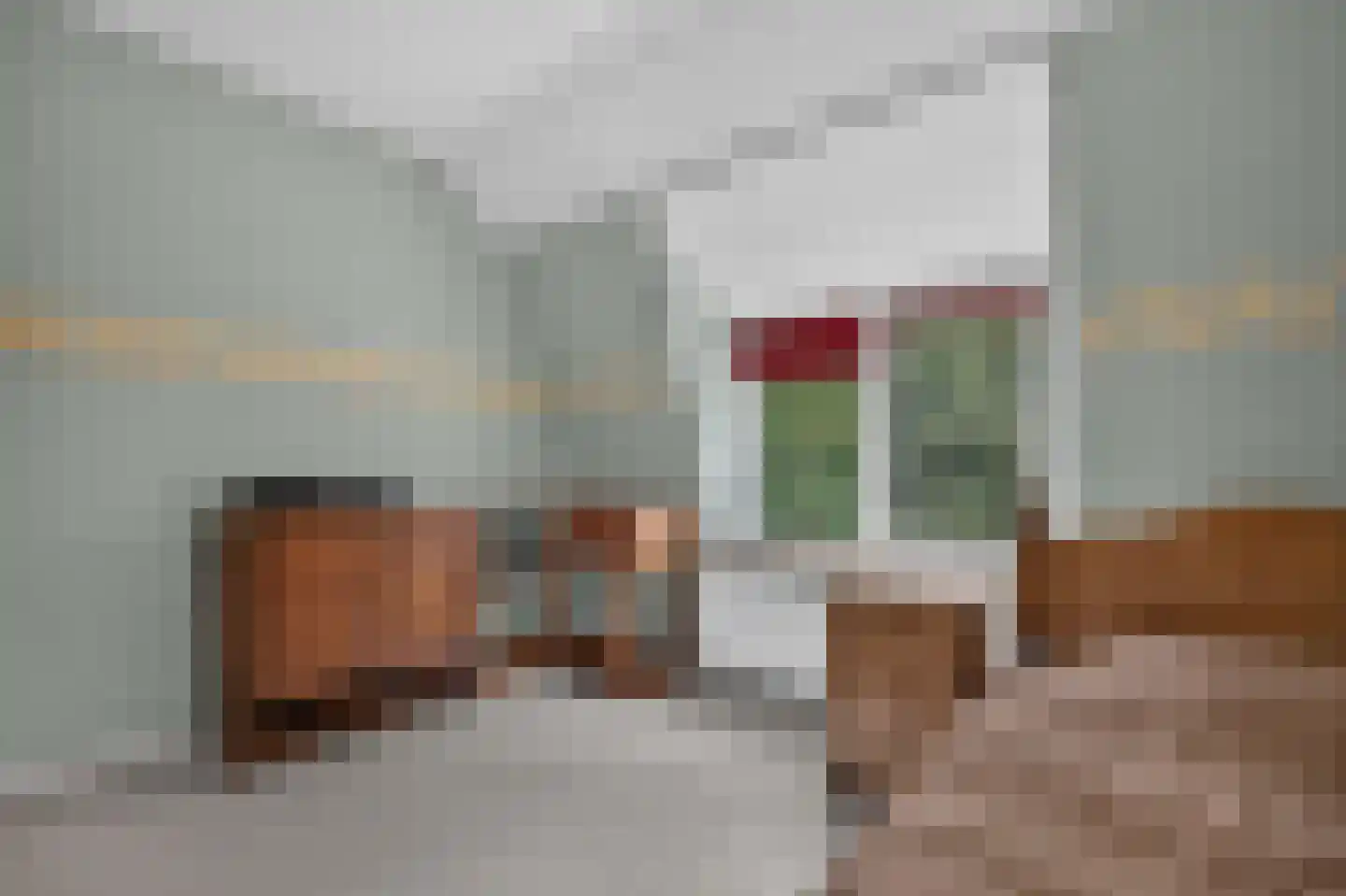 Neulemansweg 26 Broekland thumbnail 23