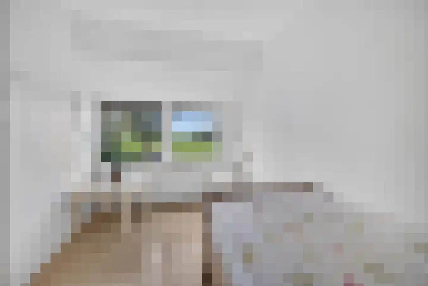 Neulemansweg 26 Broekland thumbnail 24