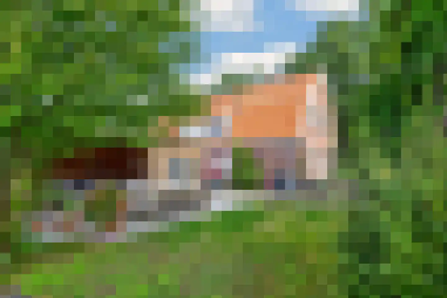 Neulemansweg 26 Broekland thumbnail 26