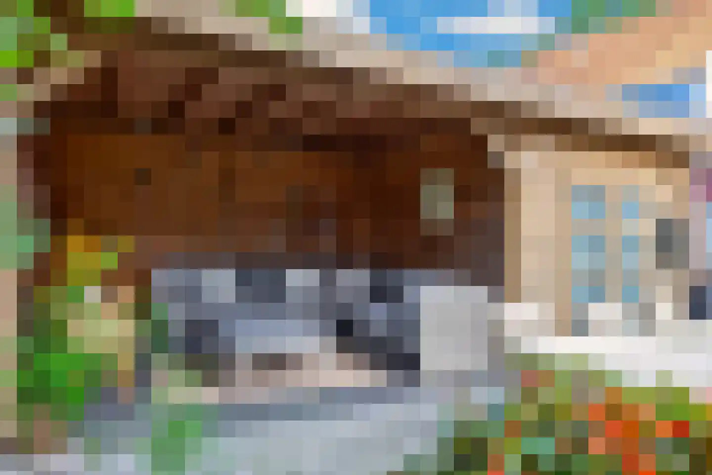 Neulemansweg 26 Broekland thumbnail 27