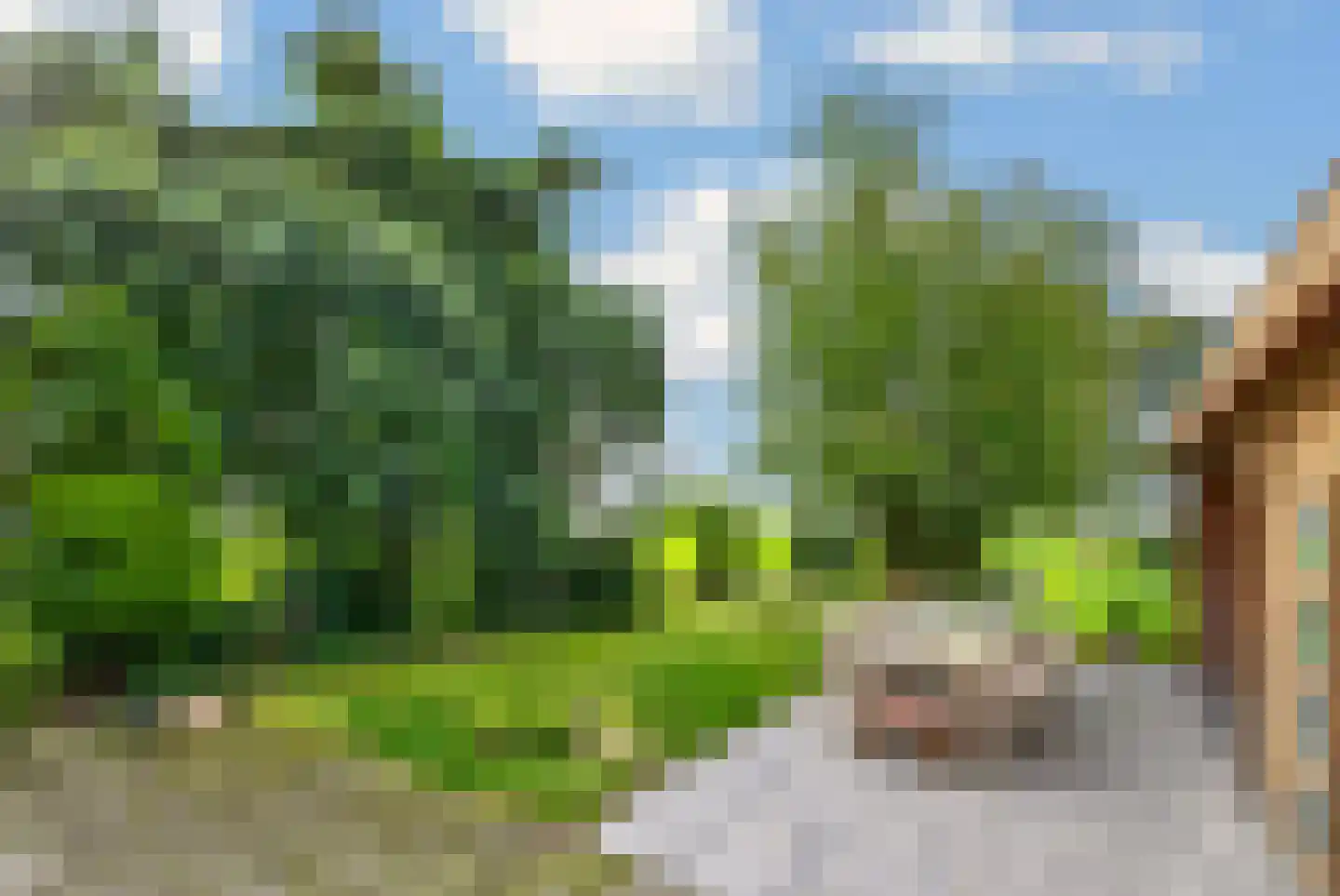 Neulemansweg 26 Broekland thumbnail 28