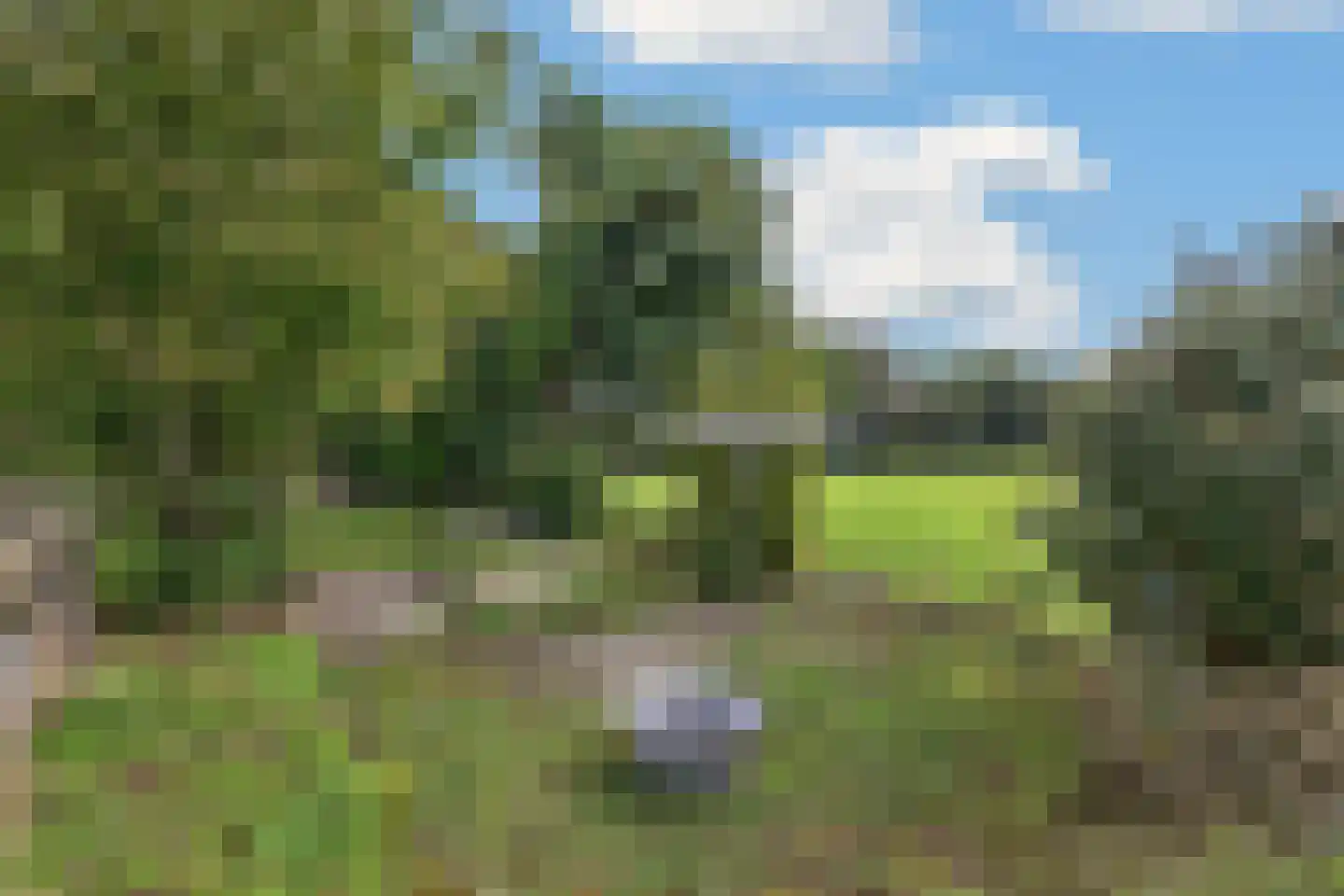 Neulemansweg 26 Broekland thumbnail 29