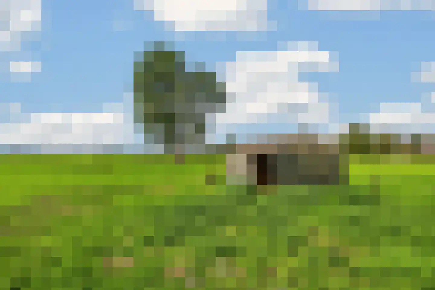 Neulemansweg 26 Broekland thumbnail 33