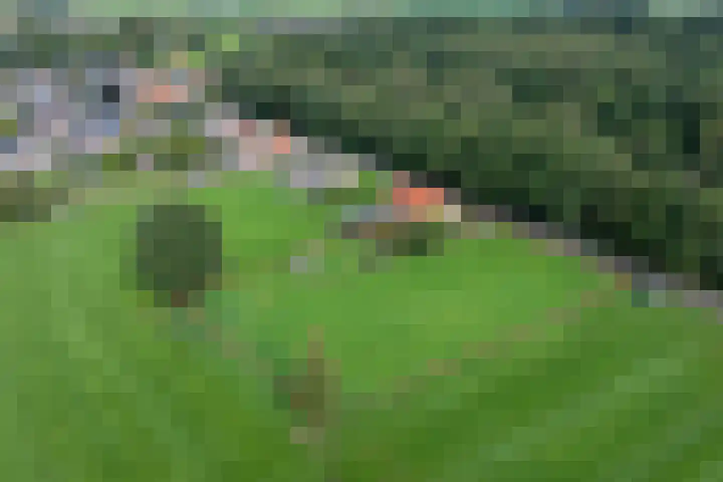 Neulemansweg 26 Broekland thumbnail 35