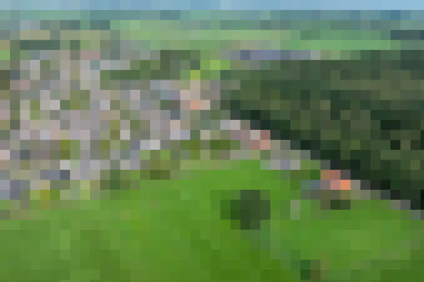 Neulemansweg 26 Broekland thumbnail 36