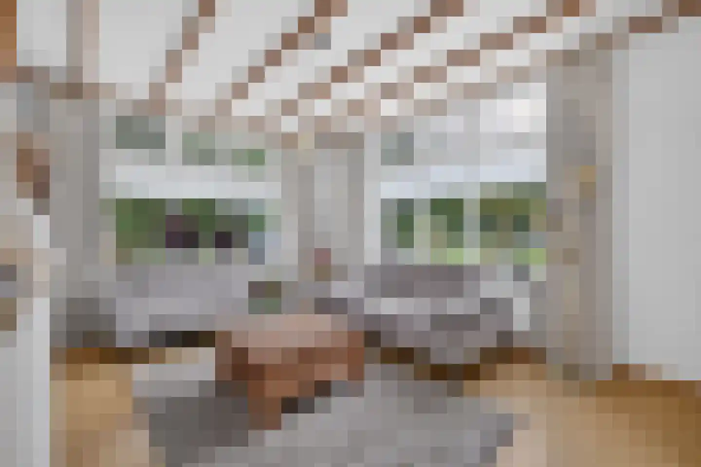 Neulemansweg 26 Broekland thumbnail 4