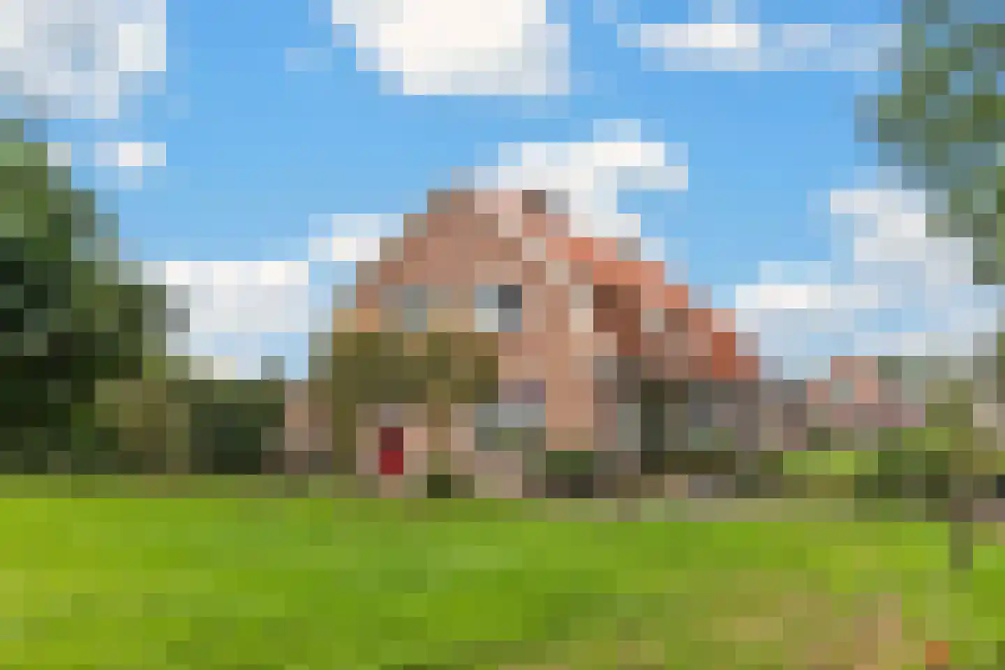 Neulemansweg 26 Broekland thumbnail 5