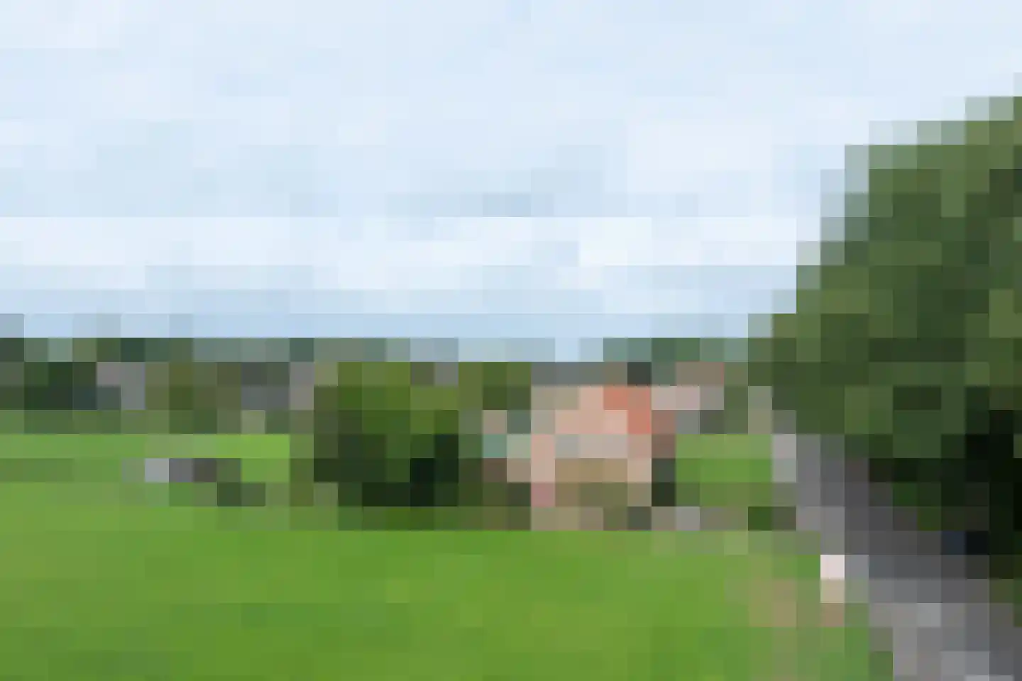Neulemansweg 26 Broekland thumbnail 8