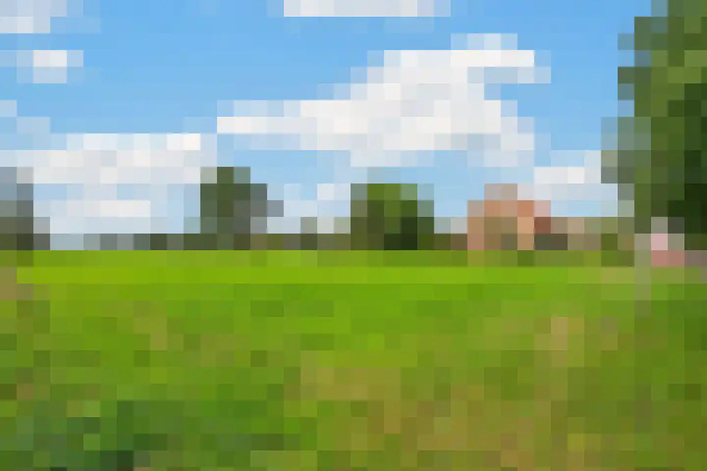 Neulemansweg 26 Broekland thumbnail 9