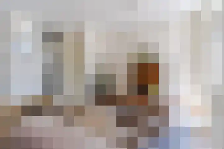 Neulstraat 3 Sint-Oedenrode thumbnail 17