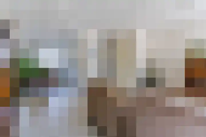 Neulstraat 3 Sint-Oedenrode thumbnail 4