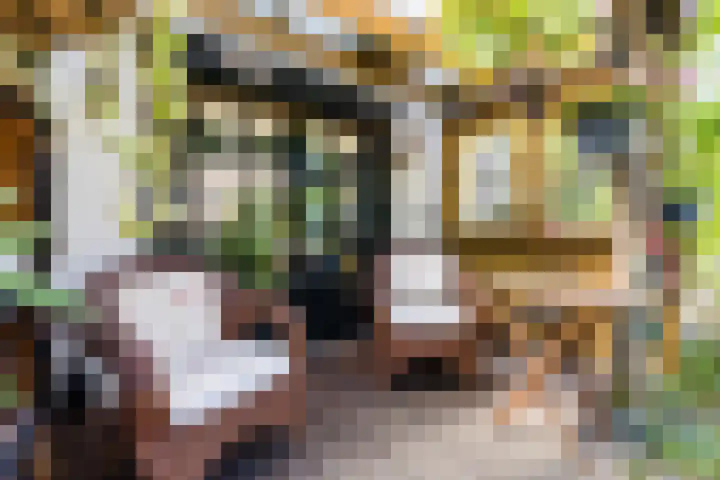 Neushoornstraat 2 Rotterdam thumbnail 15
