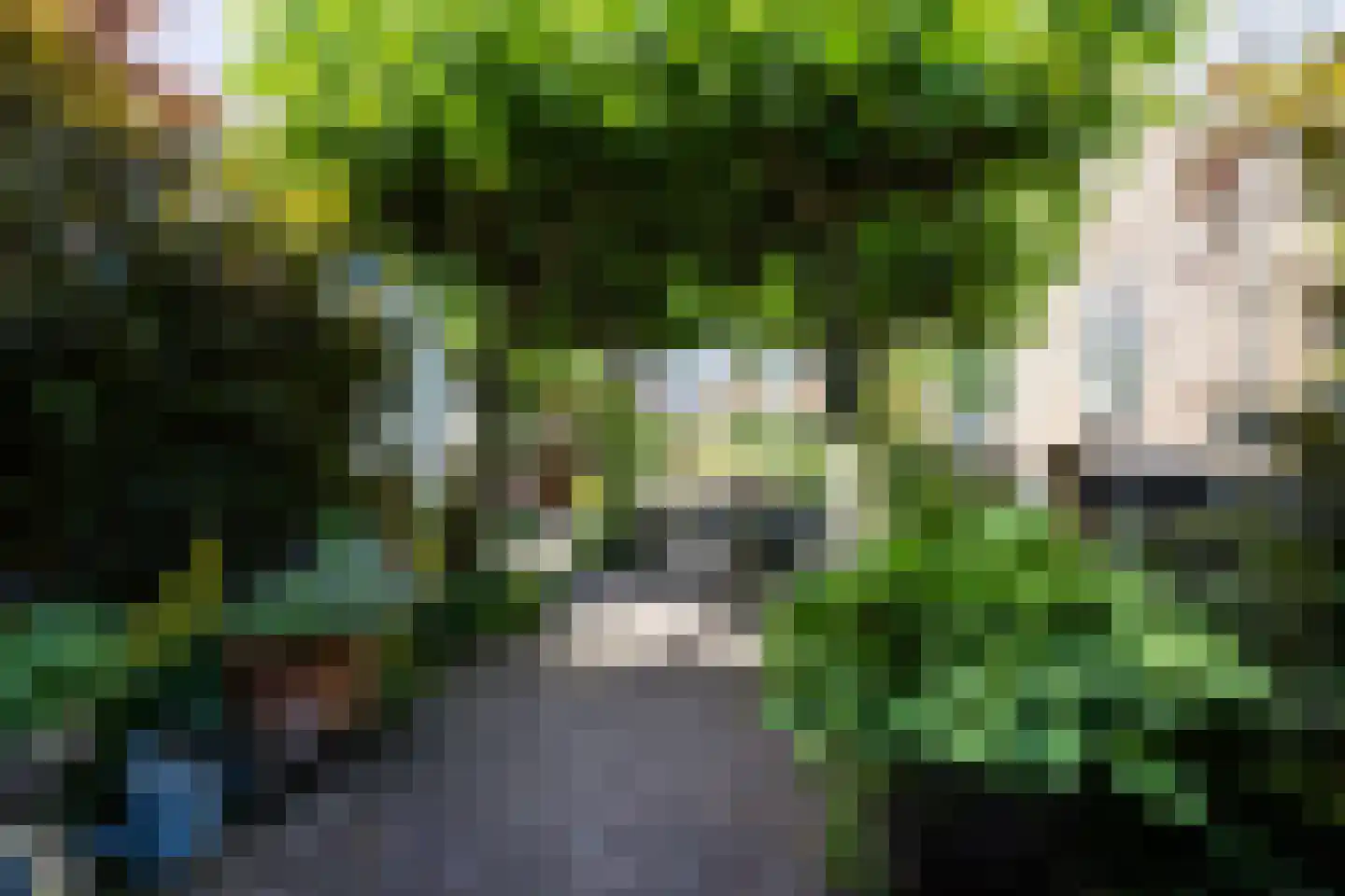 Neushoornstraat 2 Rotterdam thumbnail 24