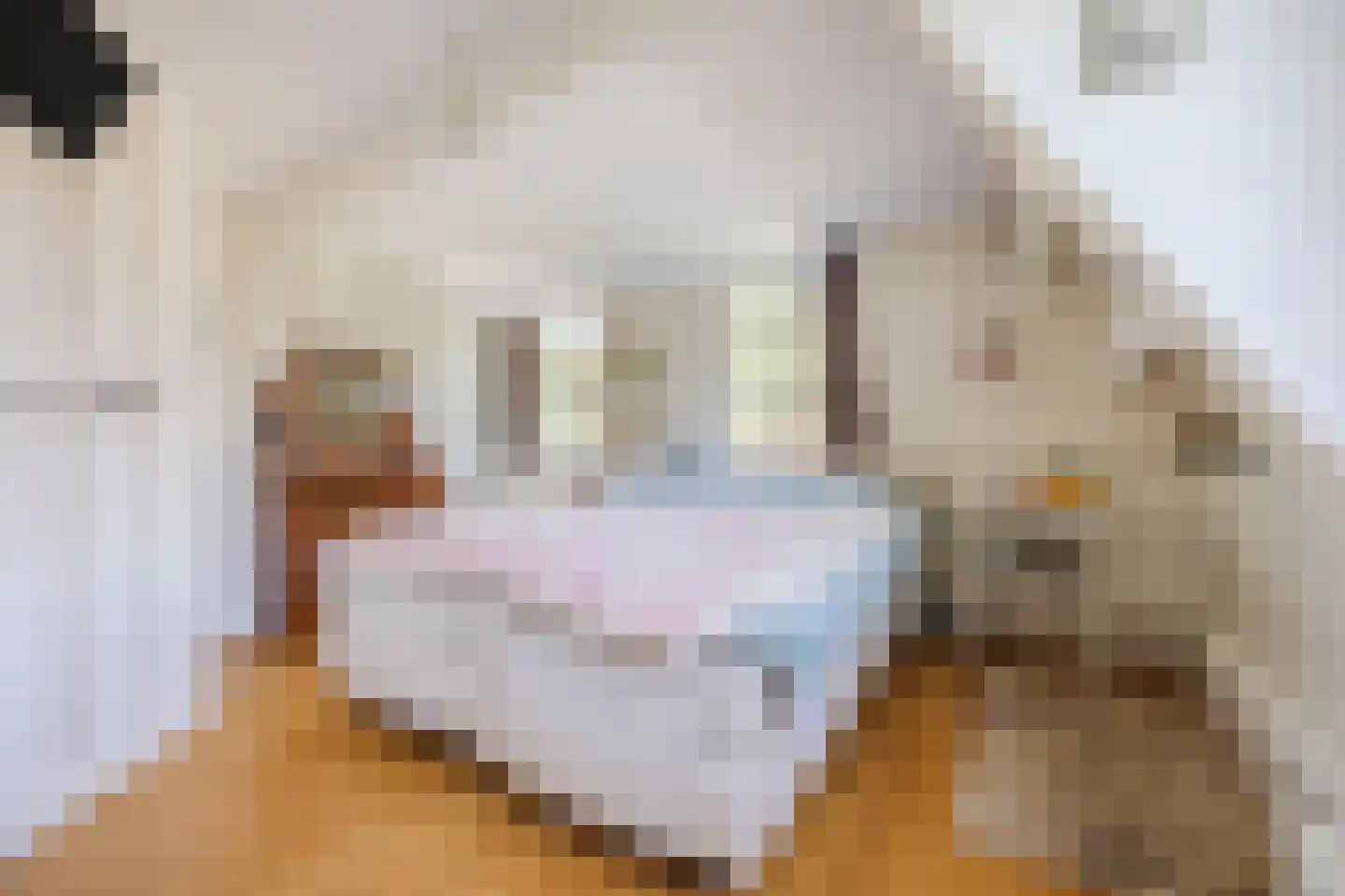 Neushoornstraat 2 Rotterdam thumbnail 33
