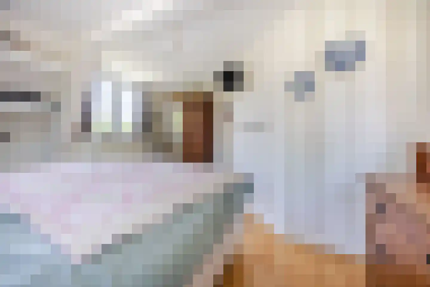 Neushoornstraat 2 Rotterdam thumbnail 35