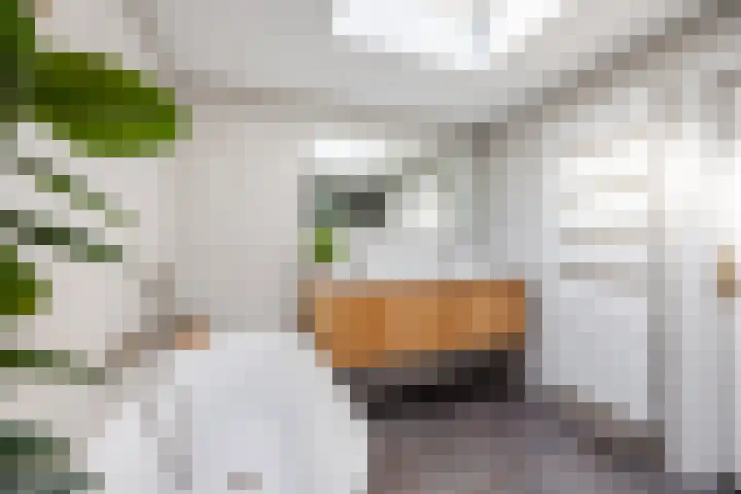 Neushoornstraat 2 Rotterdam thumbnail 36