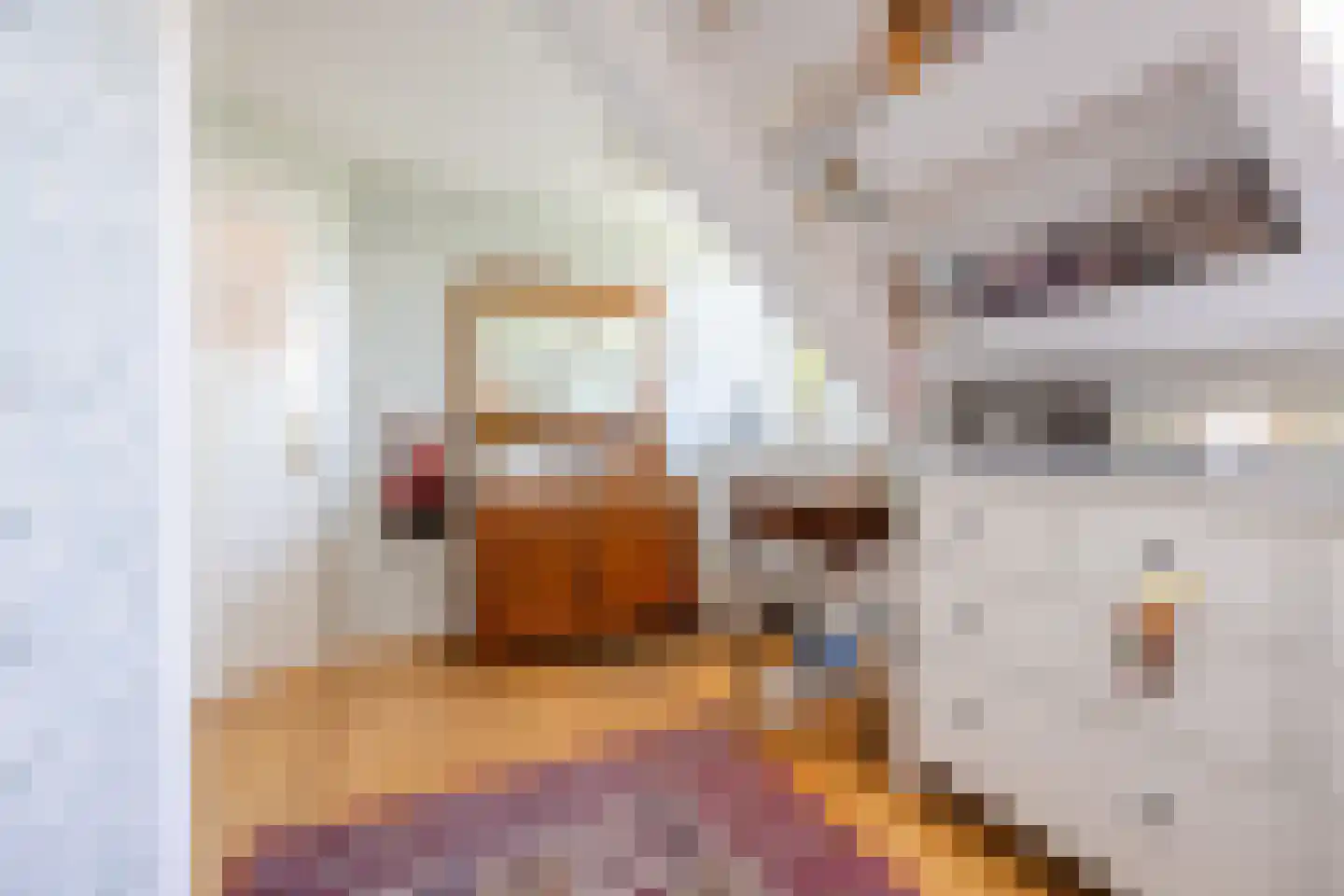 Neushoornstraat 2 Rotterdam thumbnail 40