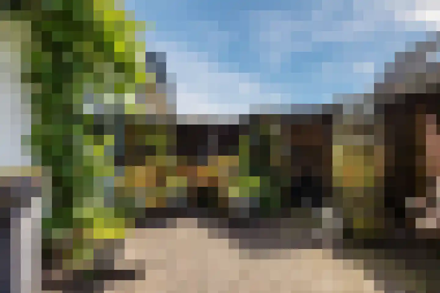 Neushoornstraat 2 Rotterdam thumbnail 47