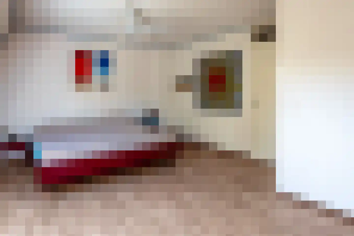 Neushoornstraat 7 Nijmegen thumbnail 28