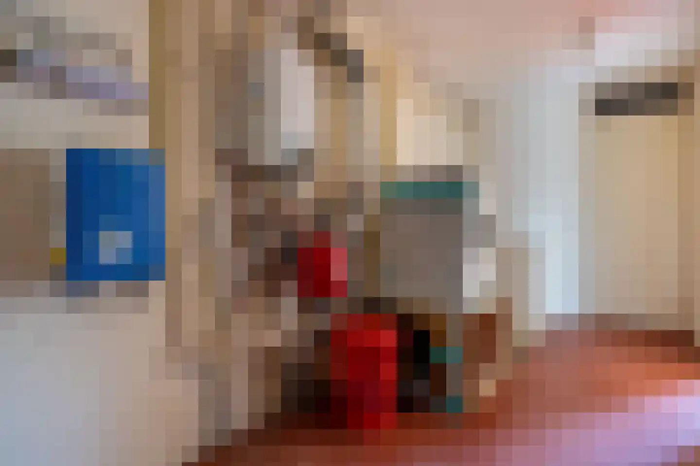 Neushoornstraat 7 Nijmegen thumbnail 37