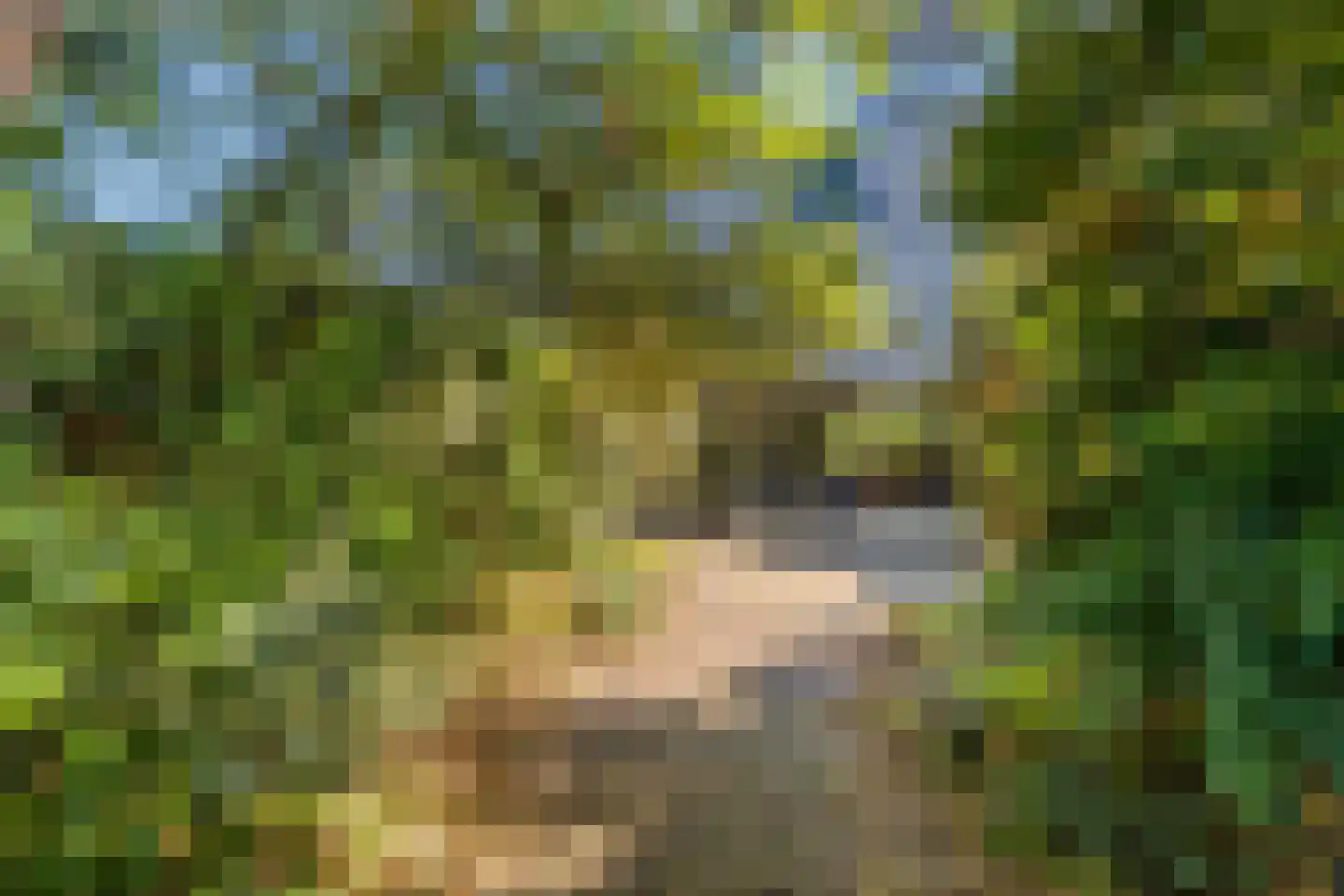 Neushoornstraat 7 Nijmegen thumbnail 6