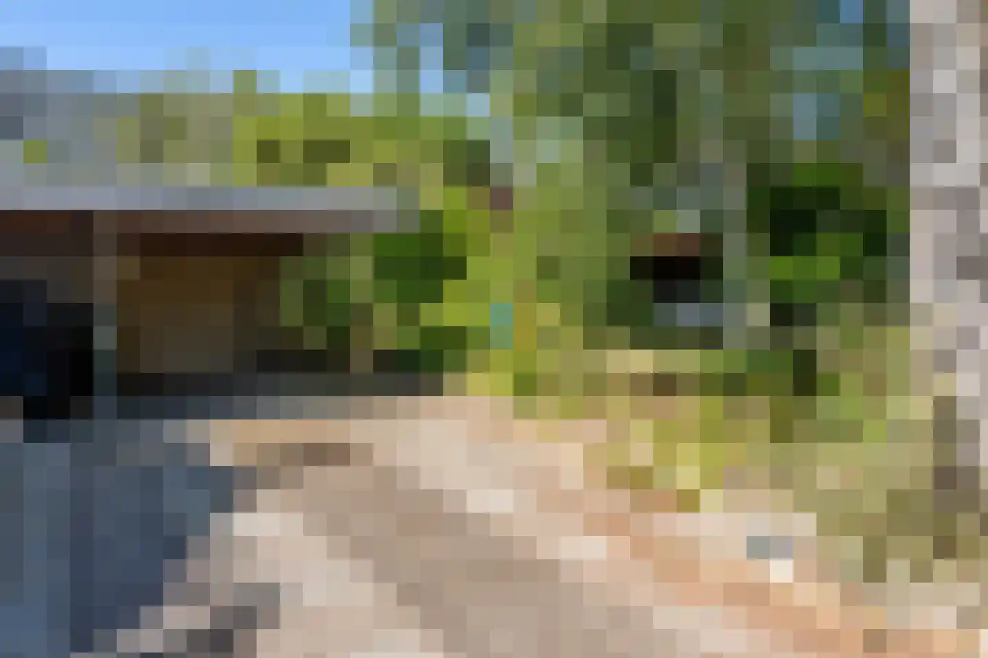 Neushoornstraat 7 Nijmegen thumbnail 8