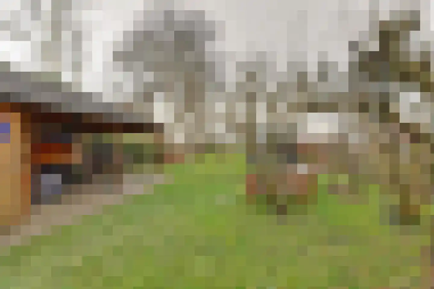 Neushoornweg 22 B Kraggenburg thumbnail 32