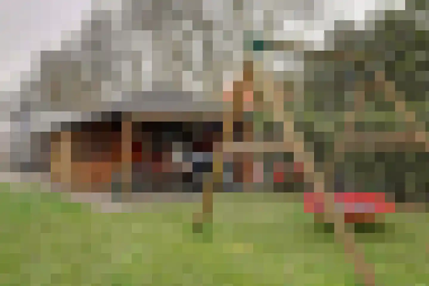Neushoornweg 22 B Kraggenburg thumbnail 33
