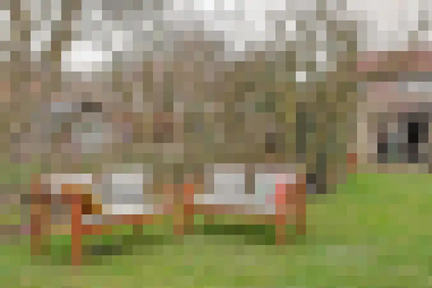 Neushoornweg 22 B Kraggenburg thumbnail 34