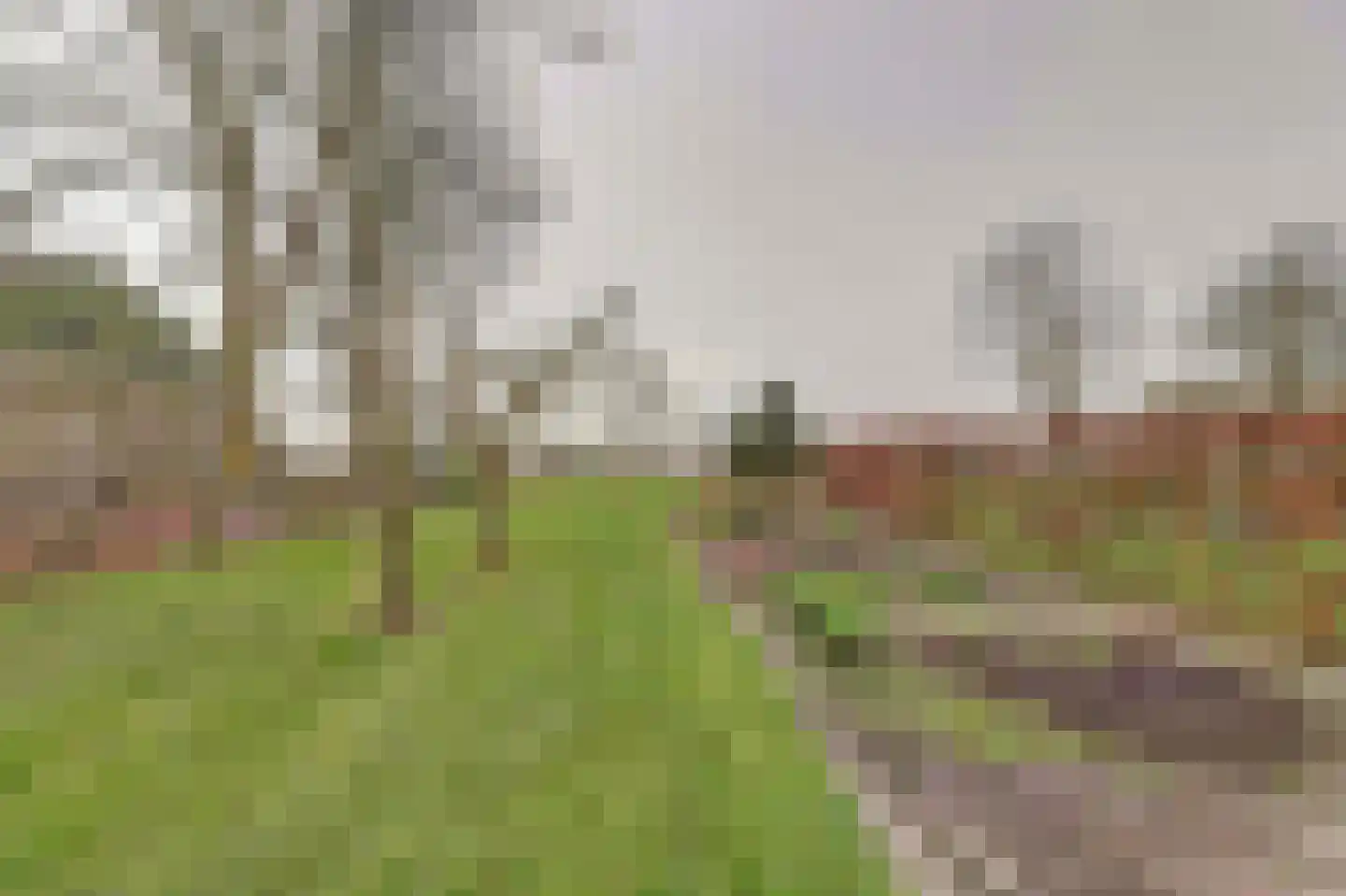 Neushoornweg 22 B Kraggenburg thumbnail 35